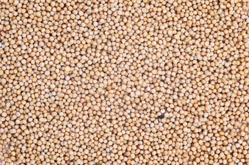 Mustard Seeds background
