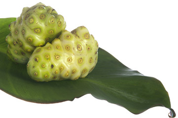 noni fruit