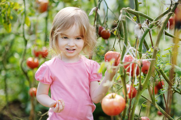 Adorable girl picking tomatoes in a garden