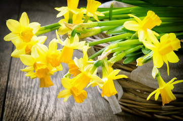 Spring narcissus in a rustic wicker basket
