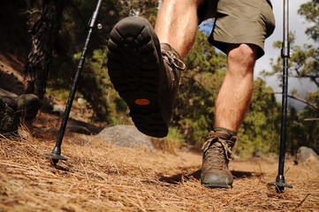 Hiking man with trekking boots on the trail