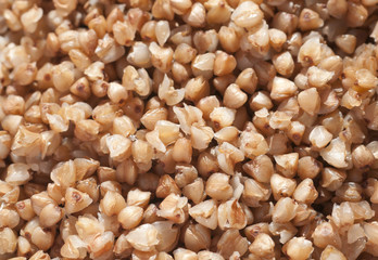 Boiled buckwheat background