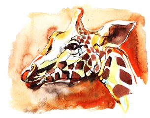 Raamstickers giraffe © ankdesign