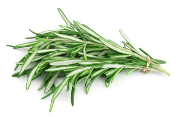 Fototapeta premium Twigs of rosemary