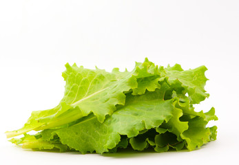Salad leaves