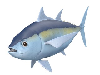 3d render of blackfin tuna