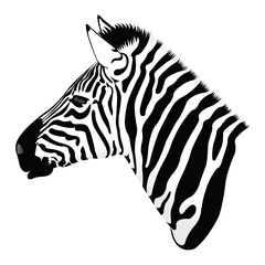 Zebra Head