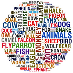 Fototapeta premium animals