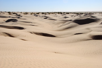 Fototapeta na wymiar sahara occidental 36