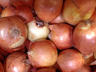 Close-up of fresh white onions