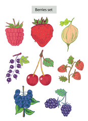 berries set hand drawn illustrations