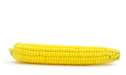 maize