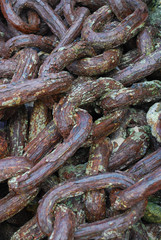 Harbour Chains 1