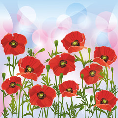 Floral background with red poppies