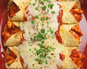 Mexican Chicken Enchiladas