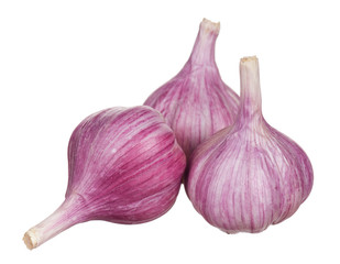 Fresh garlic