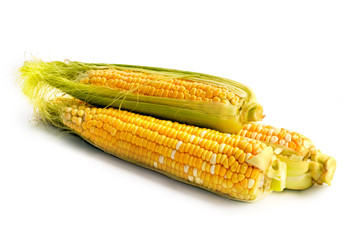 corn vegetable