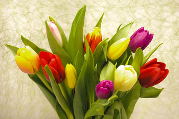 bunch of tulips
