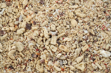 Sand nature stones beach