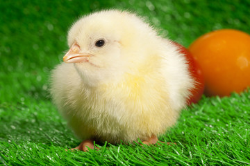 OSTERN Photo © Herby Meseritsch