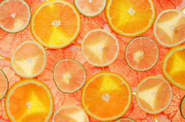 lime, lemon, grapefruit and orange