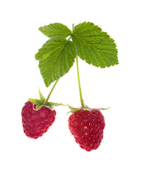 two raspberries with green leaves
