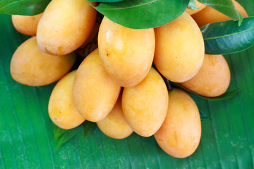 Marian mango, Plum mango. Isolated on white