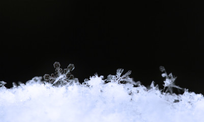 Snowflake in white snow