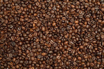 CAFFE