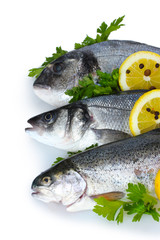 Fresh fishes with lemon, parsley and spice isolated on white
