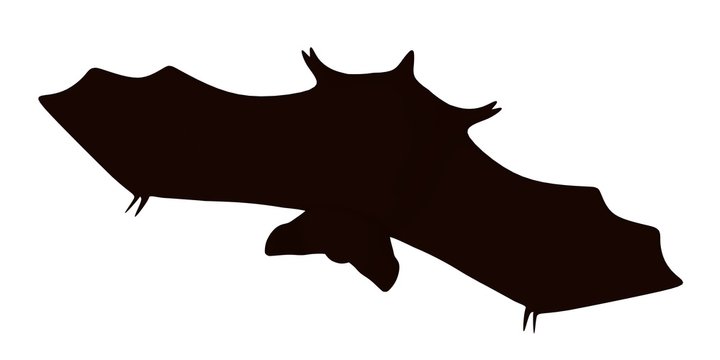 3d render of cartoon bat