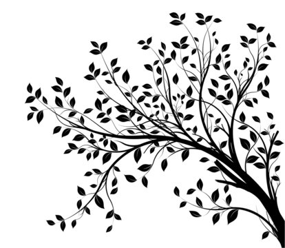 tree branches silhouette isolated white background