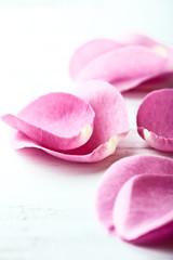 Pink Rose Petals