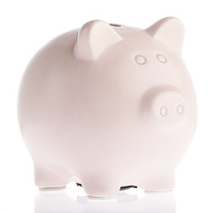pink piggy bank