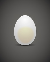 chicken egg