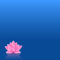 Pink Lily Flower in Still Blue Water