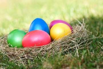 Fototapeta na wymiar Five colorful easter eggs