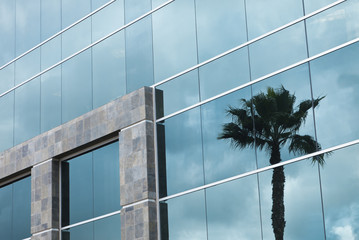 Fototapeta na wymiar Abstract Corporate Building with Palm Tree Reflection
