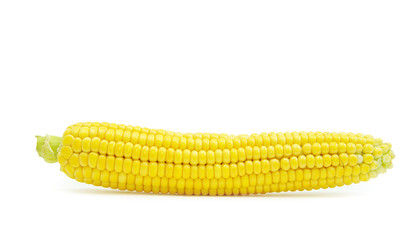 maize