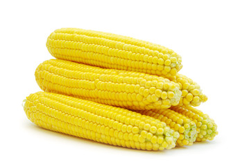 maize