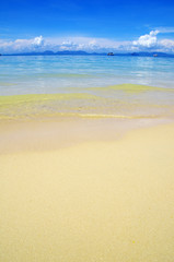 beach and tropical sea