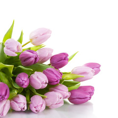 Purple Tulips
