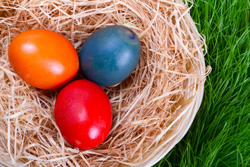 Fototapeta na wymiar Colorful painted easter eggs in nest over the grass