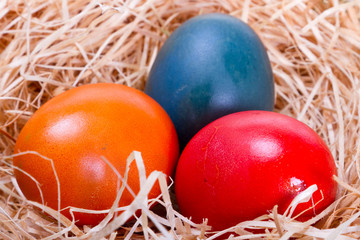 Colorful painted easter eggs in nest