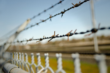 barbed wire
