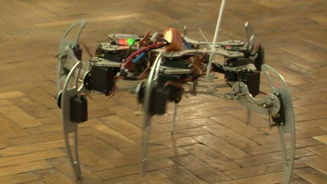 Spider robot