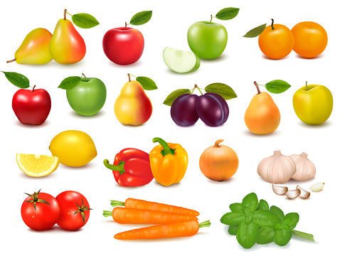 Big collection of fruits and vegetables  Vector