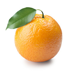 ripe orange