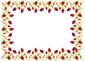 flowers frame in white background isolated