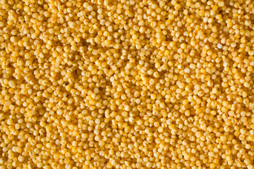 Goldhirse Nahaufnahme